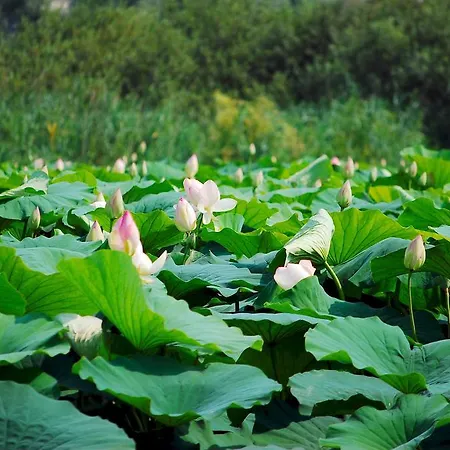 Dei Gonzaga, Mantegnahotels Mantua